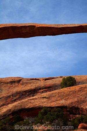 America;American-Southwest;arch;arches;Arches-N.P.;Arches-National-Park;Arches-NP;Devils-Garden;Devils-Garden;Entrada-Sandstone;geological;geology;Landscape-Arch;Moab;national-park;national-parks;natural-arch;natural-arches;natural-bridge;natural-bridges;natural-geological-formation;natural-geological-formations;Navajo-Sandstone;rock;rock-arch;rock-arches;rock-bridge;rock-bridges;rock-formation;rock-formations;rocks;Sandstone;South-west-United-States;South-west-US;South-west-USA;South-western-United-States;South-western-US;South-western-USA;Southwest-United-States;Southwest-US;Southwest-USA;Southwestern-United-States;Southwestern-US;Southwestern-USA;States;stone;the-Southwest;U.S.A;United-States;United-States-of-America;unusual-natural-feature;unusual-natural-features;unusual-natural-formation;unusual-natural-formations;US-National-Park;US-National-Parks;USA;UT;Utah;wilderness;wilderness-area;wilderness-areas;worlds-longest-arch;worlds-longest-natural-arch;worlds-longest-natural-rock-arch;worlds-longest-rock-arch