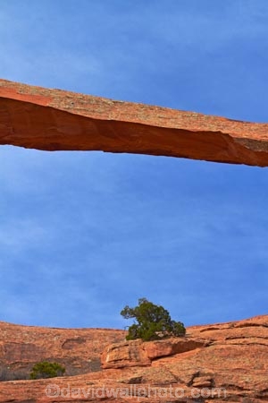 America;American-Southwest;arch;arches;Arches-N.P.;Arches-National-Park;Arches-NP;Devils-Garden;Devils-Garden;Entrada-Sandstone;geological;geology;Landscape-Arch;Moab;national-park;national-parks;natural-arch;natural-arches;natural-bridge;natural-bridges;natural-geological-formation;natural-geological-formations;Navajo-Sandstone;rock;rock-arch;rock-arches;rock-bridge;rock-bridges;rock-formation;rock-formations;rocks;Sandstone;South-west-United-States;South-west-US;South-west-USA;South-western-United-States;South-western-US;South-western-USA;Southwest-United-States;Southwest-US;Southwest-USA;Southwestern-United-States;Southwestern-US;Southwestern-USA;States;stone;the-Southwest;U.S.A;United-States;United-States-of-America;unusual-natural-feature;unusual-natural-features;unusual-natural-formation;unusual-natural-formations;US-National-Park;US-National-Parks;USA;UT;Utah;wilderness;wilderness-area;wilderness-areas;worlds-longest-arch;worlds-longest-natural-arch;worlds-longest-natural-rock-arch;worlds-longest-rock-arch