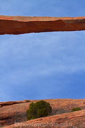America;American-Southwest;arch;arches;Arches-N.P.;Arches-National-Park;Arches-NP;Devils-Garden;Devils-Garden;Entrada-Sandstone;geological;geology;Landscape-Arch;Moab;national-park;national-parks;natural-arch;natural-arches;natural-bridge;natural-bridges;natural-geological-formation;natural-geological-formations;Navajo-Sandstone;rock;rock-arch;rock-arches;rock-bridge;rock-bridges;rock-formation;rock-formations;rocks;Sandstone;South-west-United-States;South-west-US;South-west-USA;South-western-United-States;South-western-US;South-western-USA;Southwest-United-States;Southwest-US;Southwest-USA;Southwestern-United-States;Southwestern-US;Southwestern-USA;States;stone;the-Southwest;U.S.A;United-States;United-States-of-America;unusual-natural-feature;unusual-natural-features;unusual-natural-formation;unusual-natural-formations;US-National-Park;US-National-Parks;USA;UT;Utah;wilderness;wilderness-area;wilderness-areas;worlds-longest-arch;worlds-longest-natural-arch;worlds-longest-natural-rock-arch;worlds-longest-rock-arch