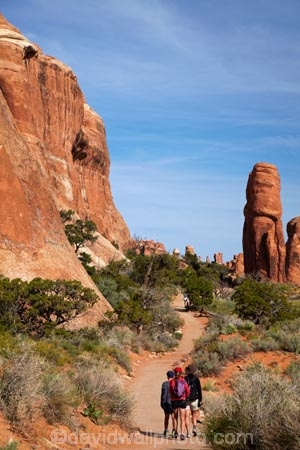 America;American-Southwest;Arches-N.P.;Arches-National-Park;Arches-NP;Devils-Garden;Devils-Garden;Entrada-Sandstone;hiker;hikers;hiking-path;hiking-paths;hiking-track;hiking-tracks;hiking-trail;hiking-trails;Moab;model-release;model-released;mr;national-park;national-parks;natural-geological-formation;natural-geological-formations;Navajo-Sandstone;path;paths;pathway;pathways;people;person;rock;rock-formation;rock-formations;rocks;route;routes;Sandstone;South-west-United-States;South-west-US;South-west-USA;South-western-United-States;South-western-US;South-western-USA;Southwest-United-States;Southwest-US;Southwest-USA;Southwestern-United-States;Southwestern-US;Southwestern-USA;States;stone;the-Southwest;tourism;tourist;tourists;track;tracks;trail;trails;tramping-track;tramping-tracks;tramping-trail;tramping-trails;U.S.A;United-States;United-States-of-America;unusual-natural-feature;unusual-natural-features;unusual-natural-formation;unusual-natural-formations;US-National-Park;US-National-Parks;USA;UT;Utah;walker;walkers;walking-path;walking-paths;walking-track;walking-tracks;walking-trail;walking-trails;walkway;walkways;wilderness;wilderness-area;wilderness-areas