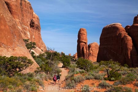 America;American-Southwest;Arches-N.P.;Arches-National-Park;Arches-NP;Devils-Garden;Devils-Garden;Entrada-Sandstone;hiker;hikers;hiking-path;hiking-paths;hiking-track;hiking-tracks;hiking-trail;hiking-trails;Moab;model-release;model-released;mr;national-park;national-parks;natural-geological-formation;natural-geological-formations;Navajo-Sandstone;path;paths;pathway;pathways;people;person;rock;rock-formation;rock-formations;rocks;route;routes;Sandstone;South-west-United-States;South-west-US;South-west-USA;South-western-United-States;South-western-US;South-western-USA;Southwest-United-States;Southwest-US;Southwest-USA;Southwestern-United-States;Southwestern-US;Southwestern-USA;States;stone;the-Southwest;tourism;tourist;tourists;track;tracks;trail;trails;tramping-track;tramping-tracks;tramping-trail;tramping-trails;U.S.A;United-States;United-States-of-America;unusual-natural-feature;unusual-natural-features;unusual-natural-formation;unusual-natural-formations;US-National-Park;US-National-Parks;USA;UT;Utah;walker;walkers;walking-path;walking-paths;walking-track;walking-tracks;walking-trail;walking-trails;walkway;walkways;wilderness;wilderness-area;wilderness-areas