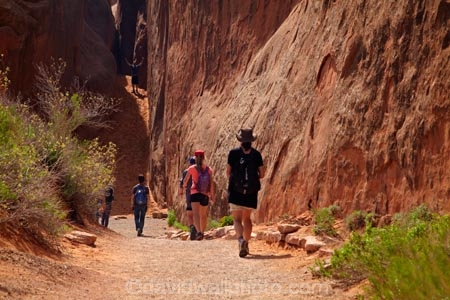 America;American-Southwest;Arches-N.P.;Arches-National-Park;Arches-NP;Devils-Garden;Devils-Garden;Entrada-Sandstone;hiker;hikers;hiking-path;hiking-paths;hiking-track;hiking-tracks;hiking-trail;hiking-trails;Moab;model-release;model-released;mr;national-park;national-parks;natural-geological-formation;natural-geological-formations;Navajo-Sandstone;path;paths;pathway;pathways;people;person;rock;rock-formation;rock-formations;rocks;route;routes;Sandstone;South-west-United-States;South-west-US;South-west-USA;South-western-United-States;South-western-US;South-western-USA;Southwest-United-States;Southwest-US;Southwest-USA;Southwestern-United-States;Southwestern-US;Southwestern-USA;States;stone;the-Southwest;tourism;tourist;tourists;track;tracks;trail;trails;tramping-track;tramping-tracks;tramping-trail;tramping-trails;U.S.A;United-States;United-States-of-America;unusual-natural-feature;unusual-natural-features;unusual-natural-formation;unusual-natural-formations;US-National-Park;US-National-Parks;USA;UT;Utah;walker;walkers;walking-path;walking-paths;walking-track;walking-tracks;walking-trail;walking-trails;walkway;walkways;wilderness;wilderness-area;wilderness-areas
