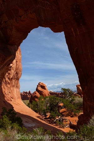 America;American-Southwest;arch;arches;Arches-N.P.;Arches-National-Park;Arches-NP;Devils-Garden;Devils-Garden;Entrada-Sandstone;geological;geology;Moab;national-park;national-parks;natural-arch;natural-arches;natural-bridge;natural-bridges;natural-geological-formation;natural-geological-formations;Navajo-Sandstone;Pine-Tree-Arch;rock;rock-arch;rock-arches;rock-bridge;rock-bridges;rock-formation;rock-formations;rocks;Sandstone;South-west-United-States;South-west-US;South-west-USA;South-western-United-States;South-western-US;South-western-USA;Southwest-United-States;Southwest-US;Southwest-USA;Southwestern-United-States;Southwestern-US;Southwestern-USA;States;stone;the-Southwest;U.S.A;United-States;United-States-of-America;unusual-natural-feature;unusual-natural-features;unusual-natural-formation;unusual-natural-formations;US-National-Park;US-National-Parks;USA;UT;Utah;wilderness;wilderness-area;wilderness-areas