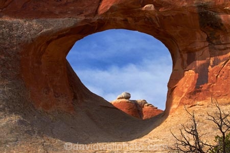 America;American-Southwest;arch;arches;Arches-N.P.;Arches-National-Park;Arches-NP;Devils-Garden;Devils-Garden;Entrada-Sandstone;geological;geology;Moab;national-park;national-parks;natural-arch;natural-arches;natural-bridge;natural-bridges;natural-geological-formation;natural-geological-formations;Navajo-Sandstone;rock;rock-arch;rock-arches;rock-bridge;rock-bridges;rock-formation;rock-formations;rocks;Sandstone;South-west-United-States;South-west-US;South-west-USA;South-western-United-States;South-western-US;South-western-USA;Southwest-United-States;Southwest-US;Southwest-USA;Southwestern-United-States;Southwestern-US;Southwestern-USA;States;stone;the-Southwest;Tunnel-Arch;U.S.A;United-States;United-States-of-America;unusual-natural-feature;unusual-natural-features;unusual-natural-formation;unusual-natural-formations;US-National-Park;US-National-Parks;USA;UT;Utah;wilderness;wilderness-area;wilderness-areas