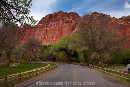America;American-Southwest;bluff;bluffs;Capitol-Reef-National-Park;cliff;cliffs;Fruita;national-park;national-parks;red-sandstone;road;roads;sandstone-cliff;sandstone-cliffs;South-west-United-States;South-west-US;South-west-USA;South-western-United-States;South-western-US;South-western-USA;Southwest-United-States;Southwest-US;Southwest-USA;Southwestern-United-States;Southwestern-US;Southwestern-USA;States;the-Southwest;U.S.A;United-States;United-States-of-America;USA;UT;Utah;Wayne-County