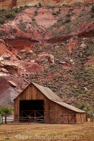 America;American-Southwest;building;buildings;Capitol-Reef-National-Park;farm;Farm-Building;Farm-Buildings;Farm-Shed;Farm-Sheds;farming;farms;Fruita;Gifford-Homestead-Barn;heritage;historic;historic-barns;historic-building;historic-buildings;historic-wooden-barn;historical;historical-building;historical-buildings;history;national-park;national-parks;old;rural;South-west-United-States;South-west-US;South-west-USA;South-western-United-States;South-western-US;South-western-USA;Southwest-United-States;Southwest-US;Southwest-USA;Southwestern-United-States;Southwestern-US;Southwestern-USA;States;the-Southwest;tradition;traditional;U.S.A;United-States;United-States-of-America;USA;UT;Utah;Wayne-County;wooden-barn;wooden-barns