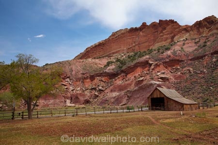 America;American-Southwest;building;buildings;Capitol-Reef-National-Park;farm;Farm-Building;Farm-Buildings;Farm-Shed;Farm-Sheds;farming;farms;Fruita;Gifford-Homestead-Barn;heritage;historic;historic-barns;historic-building;historic-buildings;historic-wooden-barn;historical;historical-building;historical-buildings;history;national-park;national-parks;old;rural;South-west-United-States;South-west-US;South-west-USA;South-western-United-States;South-western-US;South-western-USA;Southwest-United-States;Southwest-US;Southwest-USA;Southwestern-United-States;Southwestern-US;Southwestern-USA;States;the-Southwest;tradition;traditional;U.S.A;United-States;United-States-of-America;USA;UT;Utah;Wayne-County;wooden-barn;wooden-barns