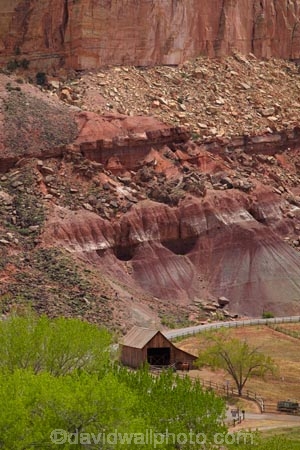 America;American-Southwest;building;buildings;Capitol-Reef-National-Park;farm;Farm-Building;Farm-Buildings;Farm-Shed;Farm-Sheds;farming;farms;Fruita;Gifford-Homestead-Barn;heritage;historic;historic-barns;historic-building;historic-buildings;historic-wooden-barn;historical;historical-building;historical-buildings;history;national-park;national-parks;old;rural;South-west-United-States;South-west-US;South-west-USA;South-western-United-States;South-western-US;South-western-USA;Southwest-United-States;Southwest-US;Southwest-USA;Southwestern-United-States;Southwestern-US;Southwestern-USA;States;the-Southwest;tradition;traditional;U.S.A;United-States;United-States-of-America;USA;UT;Utah;Wayne-County;wooden-barn;wooden-barns