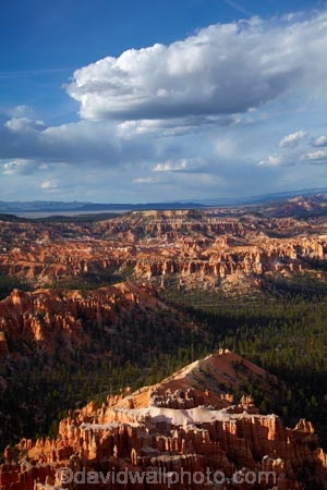 America;American-Southwest;badland;badlands;Bryce-Amphitheater;Bryce-Amphitheatre;Bryce-Canyon;Bryce-Canyon-N.P.;Bryce-Canyon-National-Park;Bryce-Canyon-NP;Bryce-Point;clay;column;columns;earth-pyramid;earth-pyramids;eroded;erosion;fairy-chimney;fairy-chimneys;formation;formations;geological;geology;hoodoo;hoodoos;layer;layers;lookout;lookouts;national-park;national-parks;natural-geological-formation;natural-geological-formations;natural-tower;natural-towers;North-America;overlook;Paunsaugunt-Plateau;pillar;pillars;pinnacle;pinnacles;rock;rock-chimney;rock-chimneys;rock-column;rock-columns;rock-formation;rock-formations;rock-pillar;rock-pillars;rock-pinnacle;rock-pinnacles;rock-spire;rock-spires;rock-tower;rock-towers;rocks;Sandstone;South-west-United-States;South-west-US;South-west-USA;South-western-United-States;South-western-US;South-western-USA;Southwest-United-States;Southwest-US;Southwest-USA;Southwestern-United-States;Southwestern-US;Southwestern-USA;States;stone;tent-rock;tent-rocks;the-Southwest;U.S.A;United-States;United-States-of-America;unusual-natural-feature;unusual-natural-features;unusual-natural-formation;unusual-natural-formations;USA;UT;Utah;view;viewpoint;viewpoints;views;weathered;weathering;wilderness;wilderness-area;wilderness-areas