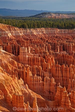 America;American-Southwest;badland;badlands;Bryce-Amphitheater;Bryce-Amphitheatre;Bryce-Canyon;Bryce-Canyon-N.P.;Bryce-Canyon-National-Park;Bryce-Canyon-NP;clay;column;columns;earth-pyramid;earth-pyramids;eroded;erosion;fairy-chimney;fairy-chimneys;formation;formations;geological;geology;hoodoo;hoodoos;Inspiration-Point;layer;layers;lookout;lookouts;national-park;national-parks;natural-geological-formation;natural-geological-formations;natural-tower;natural-towers;North-America;overlook;Paunsaugunt-Plateau;pillar;pillars;pinnacle;pinnacles;rock;rock-chimney;rock-chimneys;rock-column;rock-columns;rock-formation;rock-formations;rock-pillar;rock-pillars;rock-pinnacle;rock-pinnacles;rock-spire;rock-spires;rock-tower;rock-towers;rocks;Sandstone;South-west-United-States;South-west-US;South-west-USA;South-western-United-States;South-western-US;South-western-USA;Southwest-United-States;Southwest-US;Southwest-USA;Southwestern-United-States;Southwestern-US;Southwestern-USA;States;stone;tent-rock;tent-rocks;the-Southwest;U.S.A;United-States;United-States-of-America;unusual-natural-feature;unusual-natural-features;unusual-natural-formation;unusual-natural-formations;USA;UT;Utah;view;viewpoint;viewpoints;views;weathered;weathering;wilderness;wilderness-area;wilderness-areas