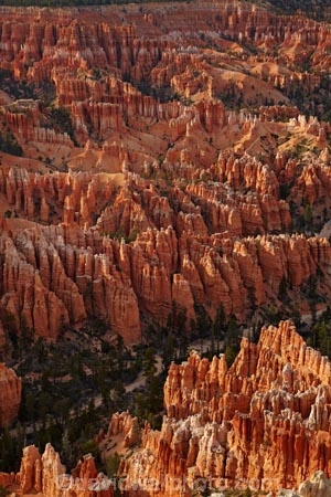 America;American-Southwest;badland;badlands;Bryce-Amphitheater;Bryce-Amphitheatre;Bryce-Canyon;Bryce-Canyon-N.P.;Bryce-Canyon-National-Park;Bryce-Canyon-NP;Bryce-Point;clay;column;columns;earth-pyramid;earth-pyramids;eroded;erosion;fairy-chimney;fairy-chimneys;formation;formations;geological;geology;hoodoo;hoodoos;layer;layers;lookout;lookouts;national-park;national-parks;natural-geological-formation;natural-geological-formations;natural-tower;natural-towers;North-America;overlook;Paunsaugunt-Plateau;pillar;pillars;pinnacle;pinnacles;rock;rock-chimney;rock-chimneys;rock-column;rock-columns;rock-formation;rock-formations;rock-pillar;rock-pillars;rock-pinnacle;rock-pinnacles;rock-spire;rock-spires;rock-tower;rock-towers;rocks;Sandstone;South-west-United-States;South-west-US;South-west-USA;South-western-United-States;South-western-US;South-western-USA;Southwest-United-States;Southwest-US;Southwest-USA;Southwestern-United-States;Southwestern-US;Southwestern-USA;States;stone;tent-rock;tent-rocks;the-Southwest;U.S.A;United-States;United-States-of-America;unusual-natural-feature;unusual-natural-features;unusual-natural-formation;unusual-natural-formations;USA;UT;Utah;view;viewpoint;viewpoints;views;weathered;weathering;wilderness;wilderness-area;wilderness-areas
