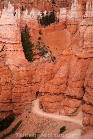 America;American-Southwest;badland;badlands;Bryce-Amphitheater;Bryce-Amphitheatre;Bryce-Canyon;Bryce-Canyon-N.P.;Bryce-Canyon-National-Park;Bryce-Canyon-NP;clay;column;columns;earth-pyramid;earth-pyramids;eroded;erosion;fairy-chimney;fairy-chimneys;formation;formations;geological;geology;hiking-path;hiking-paths;hiking-track;hiking-tracks;hiking-trail;hiking-trails;hoodoo;hoodoos;layer;layers;national-park;national-parks;natural-geological-formation;natural-geological-formations;natural-tower;natural-towers;North-America;path;paths;pathway;pathways;Paunsaugunt-Plateau;pillar;pillars;pinnacle;pinnacles;Queens-Garden-Path;Queens-Garden-Trackl;Queens-Garden-Trail;Queens-Garden-walk;Queens-Garden-Path;Queens-Garden-Track;Queens-Garden-Trail;Queens-Garden-walk;rock;rock-chimney;rock-chimneys;rock-column;rock-columns;rock-formation;rock-formations;rock-pillar;rock-pillars;rock-pinnacle;rock-pinnacles;rock-spire;rock-spires;rock-tower;rock-towers;rocks;route;routes;Sandstone;South-west-United-States;South-west-US;South-west-USA;South-western-United-States;South-western-US;South-western-USA;Southwest-United-States;Southwest-US;Southwest-USA;Southwestern-United-States;Southwestern-US;Southwestern-USA;States;stone;tent-rock;tent-rocks;the-Southwest;track;tracks;trail;trails;tramping-track;tramping-tracks;tramping-trail;tramping-trails;tunnel;tunnels;U.S.A;United-States;United-States-of-America;unusual-natural-feature;unusual-natural-features;unusual-natural-formation;unusual-natural-formations;USA;UT;Utah;walking-path;walking-paths;walking-track;walking-tracks;walking-trail;walking-trails;walkway;walkways;weathered;weathering;wilderness;wilderness-area;wilderness-areas