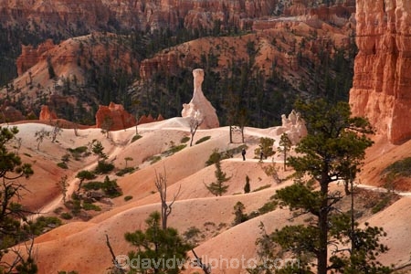 America;American-Southwest;badland;badlands;Bryce-Amphitheater;Bryce-Amphitheatre;Bryce-Canyon;Bryce-Canyon-N.P.;Bryce-Canyon-National-Park;Bryce-Canyon-NP;clay;column;columns;earth-pyramid;earth-pyramids;eroded;erosion;fairy-chimney;fairy-chimneys;formation;formations;geological;geology;hiker;hikers;hiking-path;hiking-paths;hiking-track;hiking-tracks;hiking-trail;hiking-trails;hoodoo;hoodoos;layer;layers;national-park;national-parks;natural-geological-formation;natural-geological-formations;natural-tower;natural-towers;North-America;path;paths;pathway;pathways;Paunsaugunt-Plateau;people;person;pillar;pillars;pinnacle;pinnacles;Queens-Garden-Path;Queens-Garden-Trackl;Queens-Garden-Trail;Queens-Garden-walk;Queens-Garden-Path;Queens-Garden-Track;Queens-Garden-Trail;Queens-Garden-walk;rock;rock-chimney;rock-chimneys;rock-column;rock-columns;rock-formation;rock-formations;rock-pillar;rock-pillars;rock-pinnacle;rock-pinnacles;rock-spire;rock-spires;rock-tower;rock-towers;rocks;route;routes;Sandstone;South-west-United-States;South-west-US;South-west-USA;South-western-United-States;South-western-US;South-western-USA;Southwest-United-States;Southwest-US;Southwest-USA;Southwestern-United-States;Southwestern-US;Southwestern-USA;States;stone;tent-rock;tent-rocks;the-Southwest;tourism;tourist;tourists;track;tracks;trail;trails;tramping-track;tramping-tracks;tramping-trail;tramping-trails;U.S.A;United-States;United-States-of-America;unusual-natural-feature;unusual-natural-features;unusual-natural-formation;unusual-natural-formations;USA;UT;Utah;walker;walkers;walking-path;walking-paths;walking-track;walking-tracks;walking-trail;walking-trails;walkway;walkways;weathered;weathering;wilderness;wilderness-area;wilderness-areas