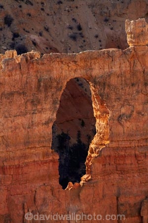 America;American-Southwest;badland;badlands;Bryce-Amphitheater;Bryce-Amphitheatre;Bryce-Canyon;Bryce-Canyon-N.P.;Bryce-Canyon-National-Park;Bryce-Canyon-NP;clay;eroded;eroding;erosion;formation;formations;frost-hole;geological;geology;hole;hoodoo;hoodoos;layer;layers;national-park;national-parks;natural-arch;natural-arches;natural-bridge;natural-bridges;natural-geological-formation;natural-geological-formations;North-America;Paunsaugunt-Plateau;rock;rock-arch;rock-arches;rock-bridge;rock-bridges;rock-formation;rock-formations;rocks;Sandstone;South-west-United-States;South-west-US;South-west-USA;South-western-United-States;South-western-US;South-western-USA;Southwest-United-States;Southwest-US;Southwest-USA;Southwestern-United-States;Southwestern-US;Southwestern-USA;States;stone;the-Southwest;U.S.A;United-States;United-States-of-America;unusual-natural-feature;unusual-natural-features;unusual-natural-formation;unusual-natural-formations;USA;UT;Utah;weathered;weathering;wilderness;wilderness-area;wilderness-areas