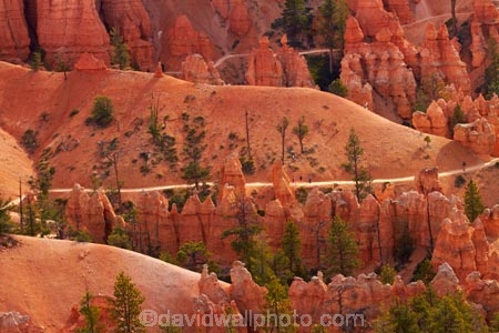 America;American-Southwest;badland;badlands;Bryce-Amphitheater;Bryce-Amphitheatre;Bryce-Canyon;Bryce-Canyon-N.P.;Bryce-Canyon-National-Park;Bryce-Canyon-NP;clay;column;columns;earth-pyramid;earth-pyramids;eroded;erosion;fairy-chimney;fairy-chimneys;formation;formations;geological;geology;hiker;hikers;hiking-path;hiking-paths;hiking-track;hiking-tracks;hiking-trail;hiking-trails;hoodoo;hoodoos;layer;layers;lookout;lookouts;national-park;national-parks;natural-geological-formation;natural-geological-formations;natural-tower;natural-towers;North-America;overlook;path;paths;pathway;pathways;Paunsaugunt-Plateau;people;person;pillar;pillars;pinnacle;pinnacles;Queens-Garden-Path;Queens-Garden-Trackl;Queens-Garden-Trail;Queens-Garden-walk;Queens-Garden-Path;Queens-Garden-Track;Queens-Garden-Trail;Queens-Garden-walk;rock;rock-chimney;rock-chimneys;rock-column;rock-columns;rock-formation;rock-formations;rock-pillar;rock-pillars;rock-pinnacle;rock-pinnacles;rock-spire;rock-spires;rock-tower;rock-towers;rocks;route;routes;Sandstone;South-west-United-States;South-west-US;South-west-USA;South-western-United-States;South-western-US;South-western-USA;Southwest-United-States;Southwest-US;Southwest-USA;Southwestern-United-States;Southwestern-US;Southwestern-USA;States;stone;tent-rock;tent-rocks;the-Southwest;tourism;tourist;tourists;track;tracks;trail;trails;tramping-track;tramping-tracks;tramping-trail;tramping-trails;U.S.A;United-States;United-States-of-America;unusual-natural-feature;unusual-natural-features;unusual-natural-formation;unusual-natural-formations;USA;UT;Utah;view;viewpoint;viewpoints;views;walker;walkers;walking-path;walking-paths;walking-track;walking-tracks;walking-trail;walking-trails;walkway;walkways;weathered;weathering;wilderness;wilderness-area;wilderness-areas