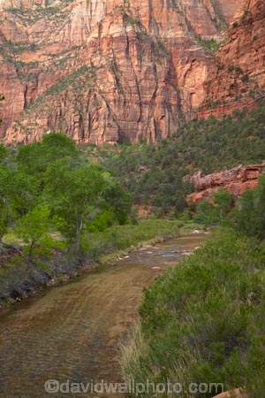 America;American-Southwest;national-parks;river;rivers;South-west-United-States;South-west-US;South-west-USA;South-western-United-States;South-western-US;South-western-USA;Southwest-United-States;Southwest-US;Southwest-USA;Southwestern-United-States;Southwestern-US;Southwestern-USA;States;the-Southwest;U.S.A;United-States;United-States-of-America;USA;UT;Utah;Virgin-River;Zion;Zion-Canyon;Zion-N.P.;Zion-National-Park;Zion-NP