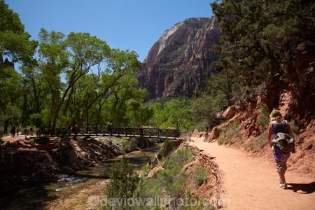 America;American-Southwest;Angels-Landing-track;Angels-Landing-trail;Angelâ€™s-Landing-track;Angelâ€™s-Landing-trail;bridge;bridges;canyon;canyons;foot-bridge;foot-bridges;footbridge;footbridges;hiker;hikers;hiking-path;hiking-paths;hiking-track;hiking-tracks;hiking-trail;hiking-trails;national-parks;path;paths;pathway;pathways;pedestrian-bridge;pedestrian-bridges;people;person;river;rivers;route;routes;South-west-United-States;South-west-US;South-west-USA;South-western-United-States;South-western-US;South-western-USA;Southwest-United-States;Southwest-US;Southwest-USA;Southwestern-United-States;Southwestern-US;Southwestern-USA;States;the-Southwest;tourism;tourist;tourists;track;tracks;trail;trails;tramping-track;tramping-tracks;tramping-trail;tramping-trails;U.S.A;United-States;United-States-of-America;USA;UT;Utah;Virgin-River;walker;walkers;walking-path;walking-paths;walking-track;walking-tracks;walking-trail;walking-trails;walkway;walkways;West-Rim-Track;West-Rim-Trail;Zion;Zion-Canyon;Zion-N.P.;Zion-National-Park;Zion-NP