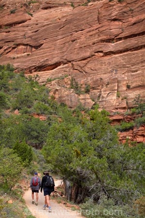 America;American-Southwest;Angels-Landing;Angels-Landing-track;Angels-Landing-trail;Angelâ€™s-Landing;Angelâ€™s-Landing-track;Angelâ€™s-Landing-trail;bluff;bluffs;canyon;canyons;cliff;cliffs;hiker;hikers;hiking-path;hiking-paths;hiking-track;hiking-tracks;hiking-trail;hiking-trails;national-parks;path;paths;pathway;pathways;people;person;route;routes;South-west-United-States;South-west-US;South-west-USA;South-western-United-States;South-western-US;South-western-USA;Southwest-United-States;Southwest-US;Southwest-USA;Southwestern-United-States;Southwestern-US;Southwestern-USA;States;the-Southwest;tourism;tourist;tourists;track;tracks;trail;trails;tramping-track;tramping-tracks;tramping-trail;tramping-trails;U.S.A;United-States;United-States-of-America;USA;UT;Utah;walker;walkers;walking-path;walking-paths;walking-track;walking-tracks;walking-trail;walking-trails;walkway;walkways;West-Rim-Track;West-Rim-Trail;Zion;Zion-Canyon;Zion-N.P.;Zion-National-Park;Zion-NP