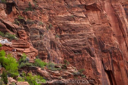 America;American-Southwest;Angels-Landing;Angels-Landing-track;Angels-Landing-trail;Angel’s-Landing;Angel’s-Landing-track;Angel’s-Landing-trail;bluff;bluffs;canyon;canyons;cliff;cliffs;hiker;hikers;hiking-path;hiking-paths;hiking-track;hiking-tracks;hiking-trail;hiking-trails;national-parks;path;paths;pathway;pathways;people;person;route;routes;South-west-United-States;South-west-US;South-west-USA;South-western-United-States;South-western-US;South-western-USA;Southwest-United-States;Southwest-US;Southwest-USA;Southwestern-United-States;Southwestern-US;Southwestern-USA;States;the-Southwest;tourism;tourist;tourists;track;tracks;trail;trails;tramping-track;tramping-tracks;tramping-trail;tramping-trails;U.S.A;United-States;United-States-of-America;USA;UT;Utah;walker;walkers;walking-path;walking-paths;walking-track;walking-tracks;walking-trail;walking-trails;walkway;walkways;West-Rim-Track;West-Rim-Trail;Zion;Zion-Canyon;Zion-N.P.;Zion-National-Park;Zion-NP