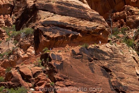 America;American-Southwest;Angels-Landing;Angels-Landing-track;Angels-Landing-trail;Angel’s-Landing;Angel’s-Landing-track;Angel’s-Landing-trail;bluff;bluffs;canyon;canyons;cliff;cliffs;hiker;hikers;hiking-path;hiking-paths;hiking-track;hiking-tracks;hiking-trail;hiking-trails;national-parks;path;paths;pathway;pathways;people;person;route;routes;South-west-United-States;South-west-US;South-west-USA;South-western-United-States;South-western-US;South-western-USA;Southwest-United-States;Southwest-US;Southwest-USA;Southwestern-United-States;Southwestern-US;Southwestern-USA;States;the-Southwest;tourism;tourist;tourists;track;tracks;trail;trails;tramping-track;tramping-tracks;tramping-trail;tramping-trails;U.S.A;United-States;United-States-of-America;USA;UT;Utah;walker;walkers;walking-path;walking-paths;walking-track;walking-tracks;walking-trail;walking-trails;walkway;walkways;West-Rim-Track;West-Rim-Trail;Zion;Zion-Canyon;Zion-N.P.;Zion-National-Park;Zion-NP