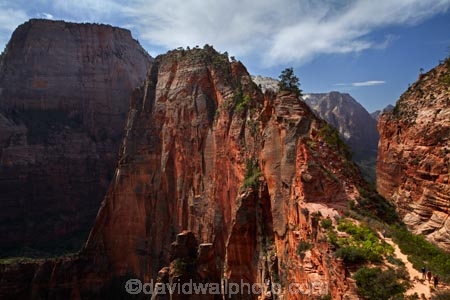 adventure;adventurous;America;American-Southwest;Angels-Landing;Angels-Landing-track;Angels-Landing-trail;Angel’s-Landing;Angel’s-Landing-track;Angel’s-Landing-trail;bluff;bluffs;cliff;cliffs;danger;dangerous;dangerous-hike;dangerous-track;Great-White-Throne;hiker;hikers;hiking-path;hiking-paths;hiking-track;hiking-tracks;hiking-trail;hiking-trails;lookout;lookouts;national-parks;overlook;path;paths;pathway;pathways;people;person;route;routes;Scout-Lookout;Scouts-Lookout;South-west-United-States;South-west-US;South-west-USA;South-western-United-States;South-western-US;South-western-USA;Southwest-United-States;Southwest-US;Southwest-USA;Southwestern-United-States;Southwestern-US;Southwestern-USA;States;the-Southwest;tourism;tourist;tourists;track;tracks;trail;trails;tramping-track;tramping-tracks;tramping-trail;tramping-trails;U.S.A;United-States;United-States-of-America;USA;UT;Utah;view;viewpoint;viewpoints;views;walker;walkers;walking-path;walking-paths;walking-track;walking-tracks;walking-trail;walking-trails;walkway;walkways;Zion;Zion-Canyon;Zion-N.P.;Zion-National-Park;Zion-NP