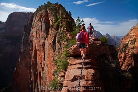 America;American-Southwest;Angels-Landing-track;Angels-Landing-trail;Angelâ€™s-Landing-track;Angelâ€™s-Landing-trail;national-parks;South-west-United-States;South-west-US;South-west-USA;South-western-United-States;South-western-US;South-western-USA;Southwest-United-States;Southwest-US;Southwest-USA;Southwestern-United-States;Southwestern-US;Southwestern-USA;States;the-Southwest;U.S.A;United-States;United-States-of-America;USA;UT;Utah;Zion;Zion-N.P.;Zion-National-Park;Zion-NP