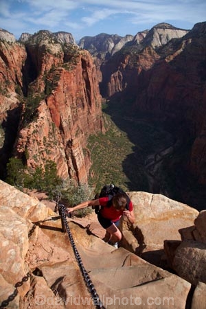 adventure;adventurous;America;American-Southwest;Angels-Landing;Angels-Landing-track;Angels-Landing-trail;Angel’s-Landing;Angel’s-Landing-track;Angel’s-Landing-trail;bluff;bluffs;chain;chain-hand-rail;chain-rail;chains;cliff;cliffs;danger;dangerous;dangerous-hike;dangerous-track;female;females;hand-rail;hand-rails;hiker;hikers;hiking-path;hiking-paths;hiking-track;hiking-tracks;hiking-trail;hiking-trails;lookout;lookouts;national-parks;overlook;path;paths;pathway;pathways;people;person;route;routes;South-west-United-States;South-west-US;South-west-USA;South-western-United-States;South-western-US;South-western-USA;Southwest-United-States;Southwest-US;Southwest-USA;Southwestern-United-States;Southwestern-US;Southwestern-USA;States;the-Southwest;tourism;tourist;tourists;track;tracks;trail;trails;tramping-track;tramping-tracks;tramping-trail;tramping-trails;U.S.A;United-States;United-States-of-America;USA;UT;Utah;view;viewpoint;viewpoints;views;walker;walkers;walking-path;walking-paths;walking-track;walking-tracks;walking-trail;walking-trails;walkway;walkways;woman;women;Zion;Zion-Canyon;Zion-N.P.;Zion-National-Park;Zion-NP