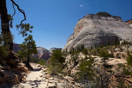 America;American-Southwest;bluff;bluffs;Cathedral-Mountain;cliff;cliffs;geological;geology;hiking-path;hiking-paths;hiking-track;hiking-tracks;hiking-trail;hiking-trails;national-parks;natural-geological-formation;natural-geological-formations;path;paths;pathway;pathways;rock;rock-formation;rock-formations;rocks;route;routes;Sandstone;slickrock;South-west-United-States;South-west-US;South-west-USA;South-western-United-States;South-western-US;South-western-USA;Southwest-United-States;Southwest-US;Southwest-USA;Southwestern-United-States;Southwestern-US;Southwestern-USA;States;stone;the-Southwest;track;tracks;trail;trails;tramping-track;tramping-tracks;tramping-trail;tramping-trails;U.S.A;United-States;United-States-of-America;unusual-natural-feature;unusual-natural-features;unusual-natural-formation;unusual-natural-formations;USA;UT;Utah;walking-path;walking-paths;walking-track;walking-tracks;walking-trail;walking-trails;walkway;walkways;West-Rim-Track;West-Rim-Trail;wilderness;wilderness-area;wilderness-areas;Zion;Zion-N.P.;Zion-National-Park;Zion-NP