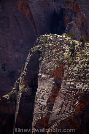 adventure;adventurous;America;American-Southwest;Angels-Landing;Angels-Landing-track;Angels-Landing-trail;Angel’s-Landing;Angel’s-Landing-track;Angel’s-Landing-trail;bluff;bluffs;cliff;cliffs;danger;dangerous;dangerous-hike;dangerous-track;hiking-path;hiking-paths;hiking-track;hiking-tracks;hiking-trail;hiking-trails;lookout;lookouts;national-parks;overlook;path;paths;pathway;pathways;route;routes;South-west-United-States;South-west-US;South-west-USA;South-western-United-States;South-western-US;South-western-USA;Southwest-United-States;Southwest-US;Southwest-USA;Southwestern-United-States;Southwestern-US;Southwestern-USA;States;the-Southwest;track;tracks;trail;trails;tramping-track;tramping-tracks;tramping-trail;tramping-trails;U.S.A;United-States;United-States-of-America;USA;UT;Utah;view;viewpoint;viewpoints;views;walking-path;walking-paths;walking-track;walking-tracks;walking-trail;walking-trails;walkway;walkways;Zion;Zion-Canyon;Zion-N.P.;Zion-National-Park;Zion-NP