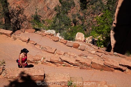 America;American-Southwest;Angels-Landing;Angels-Landing-track;Angels-Landing-trail;Angel’s-Landing;Angel’s-Landing-track;Angel’s-Landing-trail;bluff;bluffs;cliff;cliffs;hairpin-bend;hairpin-bends;hairpin-corner;hairpin-corners;hiking-path;hiking-paths;hiking-track;hiking-tracks;hiking-trail;hiking-trails;national-park;national-parks;path;paths;pathway;pathways;Refrigerator-Canyon;route;routes;South-west-United-States;South-west-US;South-west-USA;South-western-United-States;South-western-US;South-western-USA;Southwest-United-States;Southwest-US;Southwest-USA;Southwestern-United-States;Southwestern-US;Southwestern-USA;States;steep;switchback;switchback-track;switchback-tracks;switchbacks;the-Southwest;track;tracks;trail;trails;tramping-track;tramping-tracks;tramping-trail;tramping-trails;U.S.A;United-States;United-States-of-America;USA;UT;Utah;walker;walkers;walking-path;walking-paths;walking-track;walking-tracks;walking-trail;walking-trails;walkway;walkways;Walters-Wiggles;Walters-Wiggles-zigzag;Walters-Wiggles;Walters-Wiggles-zigzag;West-Rim-Track;West-Rim-Trail;zig-zag;zig-zag-trail;zig-zag-trails;zig-zags;zig_zag-path;zig_zag-paths;zig_zags;zigzag-track;zigzag-tracks;zigzags;Zion;Zion-N.P.;Zion-National-Park;Zion-NP
