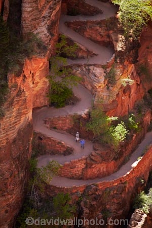 America;American-Southwest;Angels-Landing;Angels-Landing-track;Angels-Landing-trail;Angel’s-Landing;Angel’s-Landing-track;Angel’s-Landing-trail;bluff;bluffs;cliff;cliffs;hairpin-bend;hairpin-bends;hairpin-corner;hairpin-corners;hiker;hikers;hiking-path;hiking-paths;hiking-track;hiking-tracks;hiking-trail;hiking-trails;national-park;national-parks;path;paths;pathway;pathways;people;person;Refrigerator-Canyon;route;routes;South-west-United-States;South-west-US;South-west-USA;South-western-United-States;South-western-US;South-western-USA;Southwest-United-States;Southwest-US;Southwest-USA;Southwestern-United-States;Southwestern-US;Southwestern-USA;States;steep;switchback;switchback-track;switchback-tracks;switchbacks;the-Southwest;tourism;tourist;tourists;track;tracks;trail;trails;tramping-track;tramping-tracks;tramping-trail;tramping-trails;U.S.A;United-States;United-States-of-America;USA;UT;Utah;walker;walkers;walking-path;walking-paths;walking-track;walking-tracks;walking-trail;walking-trails;walkway;walkways;Walters-Wiggles;Walters-Wiggles-zigzag;Walters-Wiggles;Walters-Wiggles-zigzag;Walter’s-Wiggles;West-Rim-Track;West-Rim-Trail;zig-zag;zig-zag-trail;zig-zag-trails;zig-zags;zig_zag-path;zig_zag-paths;zig_zags;zigzag-track;zigzag-tracks;zigzags;Zion;Zion-N.P.;Zion-National-Park;Zion-NP