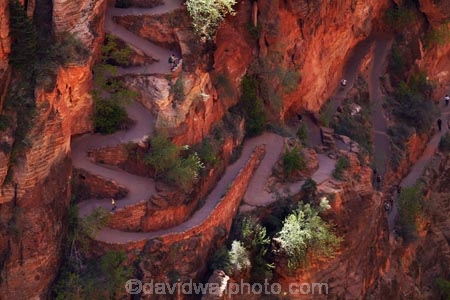 America;American-Southwest;Angels-Landing;Angels-Landing-track;Angels-Landing-trail;Angel’s-Landing;Angel’s-Landing-track;Angel’s-Landing-trail;bluff;bluffs;cliff;cliffs;hairpin-bend;hairpin-bends;hairpin-corner;hairpin-corners;hiker;hikers;hiking-path;hiking-paths;hiking-track;hiking-tracks;hiking-trail;hiking-trails;national-park;national-parks;path;paths;pathway;pathways;people;person;Refrigerator-Canyon;route;routes;South-west-United-States;South-west-US;South-west-USA;South-western-United-States;South-western-US;South-western-USA;Southwest-United-States;Southwest-US;Southwest-USA;Southwestern-United-States;Southwestern-US;Southwestern-USA;States;steep;switchback;switchback-track;switchback-tracks;switchbacks;the-Southwest;tourism;tourist;tourists;track;tracks;trail;trails;tramping-track;tramping-tracks;tramping-trail;tramping-trails;U.S.A;United-States;United-States-of-America;USA;UT;Utah;walker;walkers;walking-path;walking-paths;walking-track;walking-tracks;walking-trail;walking-trails;walkway;walkways;Walters-Wiggles;Walters-Wiggles-zigzag;Walters-Wiggles;Walters-Wiggles-zigzag;Walter’s-Wiggles;West-Rim-Track;West-Rim-Trail;zig-zag;zig-zag-trail;zig-zag-trails;zig-zags;zig_zag-path;zig_zag-paths;zig_zags;zigzag-track;zigzag-tracks;zigzags;Zion;Zion-N.P.;Zion-National-Park;Zion-NP