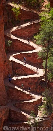 America;American-Southwest;Angels-Landing;Angels-Landing-track;Angels-Landing-trail;Angel’s-Landing;Angel’s-Landing-track;Angel’s-Landing-trail;bluff;bluffs;cliff;cliffs;hairpin-bend;hairpin-bends;hairpin-corner;hairpin-corners;hiker;hikers;hiking-path;hiking-paths;hiking-track;hiking-tracks;hiking-trail;hiking-trails;national-park;national-parks;path;paths;pathway;pathways;people;person;Refrigerator-Canyon;route;routes;South-west-United-States;South-west-US;South-west-USA;South-western-United-States;South-western-US;South-western-USA;Southwest-United-States;Southwest-US;Southwest-USA;Southwestern-United-States;Southwestern-US;Southwestern-USA;States;steep;switchback;switchback-track;switchback-tracks;switchbacks;the-Southwest;tourism;tourist;tourists;track;tracks;trail;trails;tramping-track;tramping-tracks;tramping-trail;tramping-trails;U.S.A;United-States;United-States-of-America;USA;UT;Utah;walker;walkers;walking-path;walking-paths;walking-track;walking-tracks;walking-trail;walking-trails;walkway;walkways;Walters-Wiggles;Walters-Wiggles-zigzag;Walters-Wiggles;Walters-Wiggles-zigzag;West-Rim-Track;West-Rim-Trail;zig-zag;zig-zag-trail;zig-zag-trails;zig-zags;zig_zag-path;zig_zag-paths;zig_zags;zigzag-track;zigzag-tracks;zigzags;Zion;Zion-N.P.;Zion-National-Park;Zion-NP