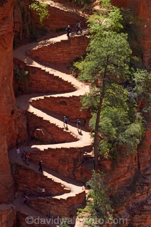 America;American-Southwest;Angels-Landing;Angels-Landing-track;Angels-Landing-trail;Angel’s-Landing;Angel’s-Landing-track;Angel’s-Landing-trail;bluff;bluffs;cliff;cliffs;hairpin-bend;hairpin-bends;hairpin-corner;hairpin-corners;hiker;hikers;hiking-path;hiking-paths;hiking-track;hiking-tracks;hiking-trail;hiking-trails;national-park;national-parks;path;paths;pathway;pathways;people;person;Refrigerator-Canyon;route;routes;South-west-United-States;South-west-US;South-west-USA;South-western-United-States;South-western-US;South-western-USA;Southwest-United-States;Southwest-US;Southwest-USA;Southwestern-United-States;Southwestern-US;Southwestern-USA;States;steep;switchback;switchback-track;switchback-tracks;switchbacks;the-Southwest;tourism;tourist;tourists;track;tracks;trail;trails;tramping-track;tramping-tracks;tramping-trail;tramping-trails;U.S.A;United-States;United-States-of-America;USA;UT;Utah;walker;walkers;walking-path;walking-paths;walking-track;walking-tracks;walking-trail;walking-trails;walkway;walkways;Walters-Wiggles;Walters-Wiggles-zigzag;Walters-Wiggles;Walters-Wiggles-zigzag;West-Rim-Track;West-Rim-Trail;zig-zag;zig-zag-trail;zig-zag-trails;zig-zags;zig_zag-path;zig_zag-paths;zig_zags;zigzag-track;zigzag-tracks;zigzags;Zion;Zion-N.P.;Zion-National-Park;Zion-NP