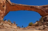America;American-Southwest;archway;archways;Armstrong-Canyon;Cedar-Mesa-Formation;female;females;geological;geology;natural-arch;Natural-Arches;natural-bridge;natural-bridges;Natural-Bridges-N.M.;Natural-Bridges-National-Monument;natural-geological-formation;natural-geological-formations;Natural-Rock-Arch;natural-rock-arches;natural-rock-archs;natural-rock-bridge;natural-rock-bridges;Owachomo;Owachomo-Bridge;Owachomo-Natural-Bridge;people;Permian-sandstone;person;rock;rock-arch;rock-arches;rock-bridge;rock-bridges;rock-formation;rock-formations;rock-outcrop;rock-outcrops;rock-tor;rock-torr;rock-torrs;rock-tors;rocks;Sandstone;South-west-United-States;South-west-US;South-west-USA;South-western-United-States;South-western-US;South-western-USA;Southwest-United-States;Southwest-US;Southwest-USA;Southwestern-United-States;Southwestern-US;Southwestern-USA;States;stone;the-Southwest;tourism;tourist;tourists;U.S.-National-Monument;U.S.-National-Monuments;U.S.A;United-States;United-States-of-America;unusual-natural-feature;unusual-natural-features;unusual-natural-formation;unusual-natural-formations;USA;UT;Utah;visitor;visitors;wilderness;wilderness-area;wilderness-areas;woman;women