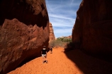America;American-Southwest;Arches-N.P.;Arches-National-Park;Arches-NP;Entrada-Sandstone;hiker;hikers;hiking-path;hiking-paths;hiking-track;hiking-tracks;hiking-trail;hiking-trails;Moab;national-park;national-parks;Navajo-Sandstone;path;paths;pathway;pathways;people;person;route;routes;Sand-Dune-Arch;sandstone;South-west-United-States;South-west-US;South-west-USA;South-western-United-States;South-western-US;South-western-USA;Southwest-United-States;Southwest-US;Southwest-USA;Southwestern-United-States;Southwestern-US;Southwestern-USA;States;the-Southwest;track;tracks;trail;trails;tramping-track;tramping-tracks;tramping-trail;tramping-trails;U.S.A;United-States;United-States-of-America;US-National-Park;US-National-Parks;USA;UT;Utah;walker;walkers;walking-path;walking-paths;walking-track;walking-tracks;walking-trail;walking-trails;walkway;walkways