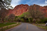 America;American-Southwest;bluff;bluffs;Capitol-Reef-National-Park;cliff;cliffs;Fruita;national-park;national-parks;red-sandstone;road;roads;sandstone-cliff;sandstone-cliffs;South-west-United-States;South-west-US;South-west-USA;South-western-United-States;South-western-US;South-western-USA;Southwest-United-States;Southwest-US;Southwest-USA;Southwestern-United-States;Southwestern-US;Southwestern-USA;States;the-Southwest;U.S.A;United-States;United-States-of-America;USA;UT;Utah;Wayne-County