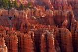 America;American-Southwest;badland;badlands;Bryce-Amphitheater;Bryce-Amphitheatre;Bryce-Canyon;Bryce-Canyon-N.P.;Bryce-Canyon-National-Park;Bryce-Canyon-NP;clay;column;columns;earth-pyramid;earth-pyramids;eroded;erosion;fairy-chimney;fairy-chimneys;formation;formations;geological;geology;hiking-path;hiking-paths;hiking-track;hiking-tracks;hiking-trail;hiking-trails;hoodoo;hoodoos;Inspiration-Point;layer;layers;lookout;lookouts;national-park;national-parks;natural-geological-formation;natural-geological-formations;natural-tower;natural-towers;Navajo-Loop;Navajo-Loop-path;Navajo-Loop-track;Navajo-Loop-trail;Navajo-Loop-walk;Navajo-path;Navajo-track;Navajo-trail;Navajo-walk;North-America;overlook;path;paths;pathway;pathways;Paunsaugunt-Plateau;pillar;pillars;pinnacle;pinnacles;rock;rock-chimney;rock-chimneys;rock-column;rock-columns;rock-formation;rock-formations;rock-pillar;rock-pillars;rock-pinnacle;rock-pinnacles;rock-spire;rock-spires;rock-tower;rock-towers;rocks;route;routes;Sandstone;South-west-United-States;South-west-US;South-west-USA;South-western-United-States;South-western-US;South-western-USA;Southwest-United-States;Southwest-US;Southwest-USA;Southwestern-United-States;Southwestern-US;Southwestern-USA;States;stone;Sunset-Point;tent-rock;tent-rocks;the-Southwest;track;tracks;trail;trails;tramping-track;tramping-tracks;tramping-trail;tramping-trails;U.S.A;United-States;United-States-of-America;unusual-natural-feature;unusual-natural-features;unusual-natural-formation;unusual-natural-formations;USA;UT;Utah;view;viewpoint;viewpoints;views;walking-path;walking-paths;walking-track;walking-tracks;walking-trail;walking-trails;walkway;walkways;weathered;weathering;wilderness;wilderness-area;wilderness-areas